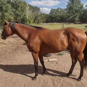 Meet your Posher, De